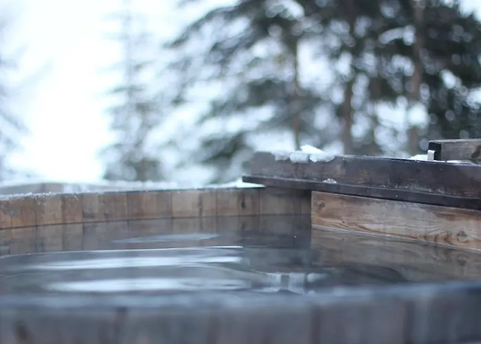 Erezsaesshuette 山林小屋 *